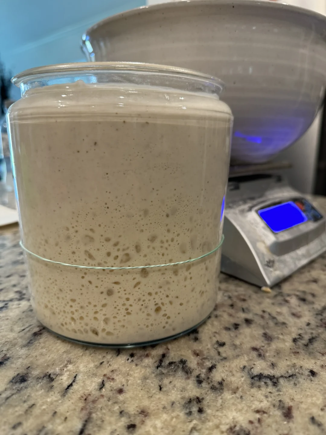 A Beginner’s Guide to Sourdough Breadmaking: From Starter to Loaf