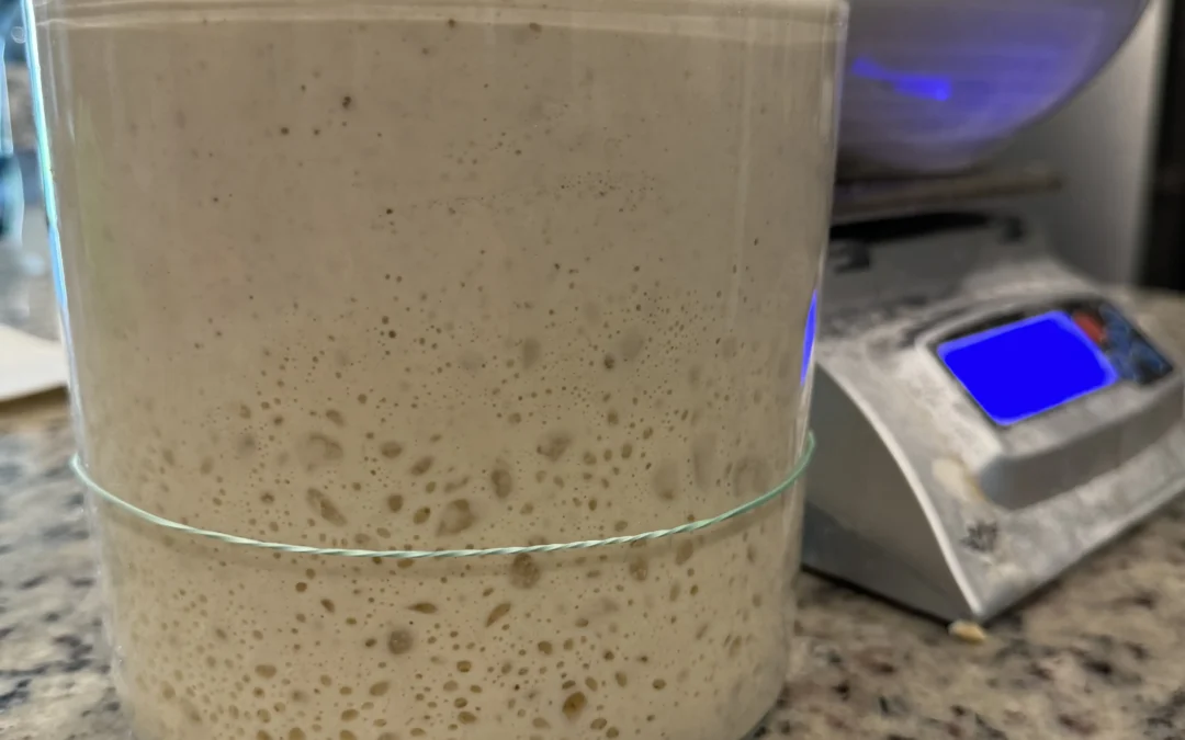 A Beginner’s Guide to Sourdough Breadmaking: From Starter to Loaf